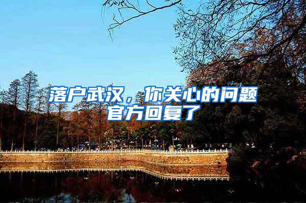 落户武汉，你关心的问题官方回复了