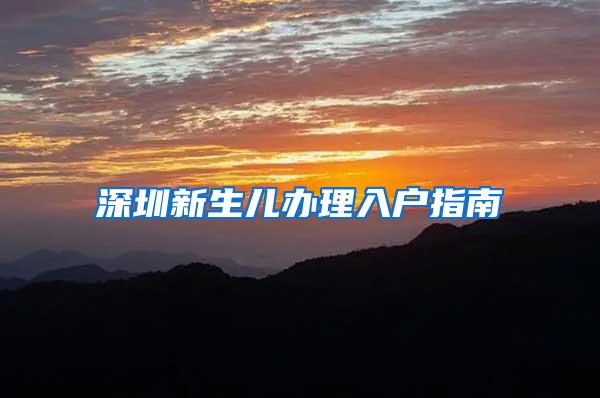 深圳新生儿办理入户指南