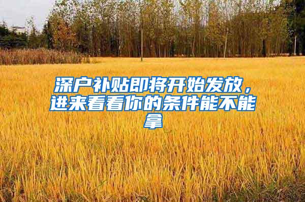 深户补贴即将开始发放，进来看看你的条件能不能拿