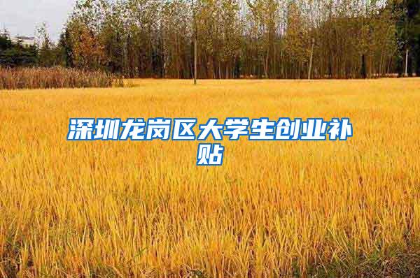 深圳龙岗区大学生创业补贴