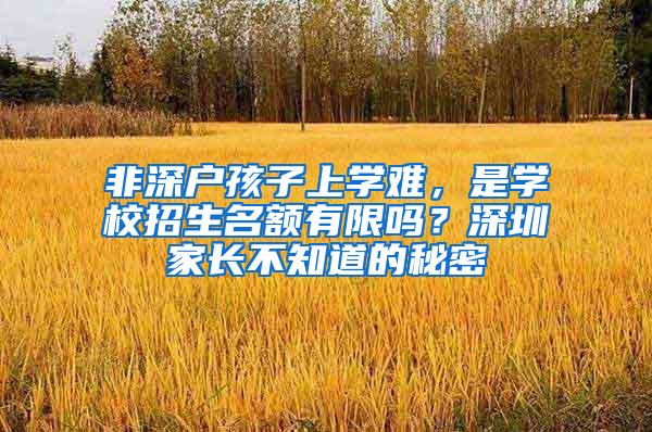 非深户孩子上学难，是学校招生名额有限吗？深圳家长不知道的秘密