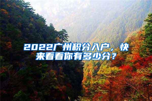 2022广州积分入户，快来看看你有多少分？