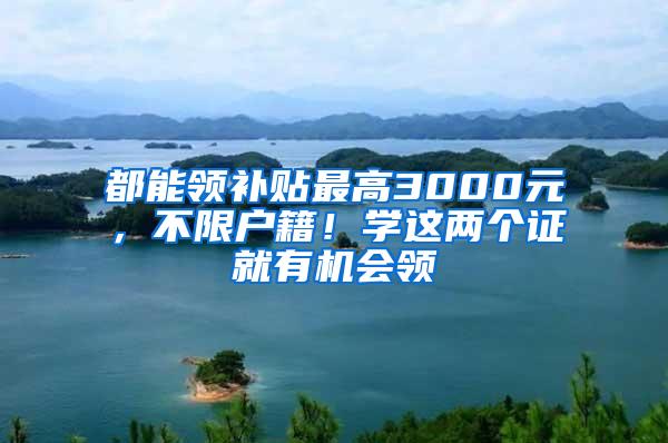 都能领补贴最高3000元，不限户籍！学这两个证就有机会领