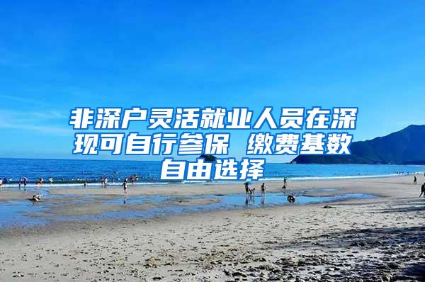 非深户灵活就业人员在深现可自行参保 缴费基数自由选择
