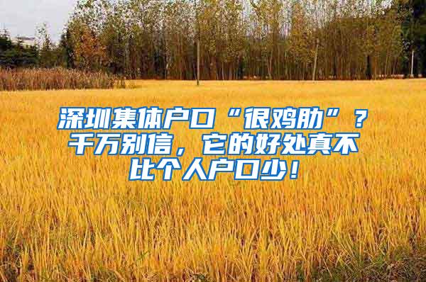 深圳集体户口“很鸡肋”？千万别信，它的好处真不比个人户口少！