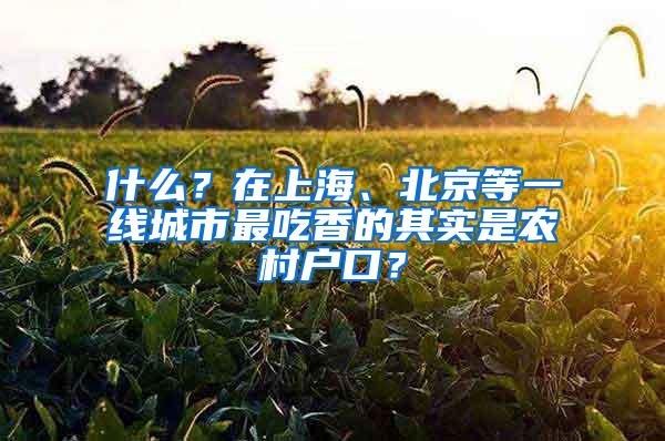 什么？在上海、北京等一线城市最吃香的其实是农村户口？