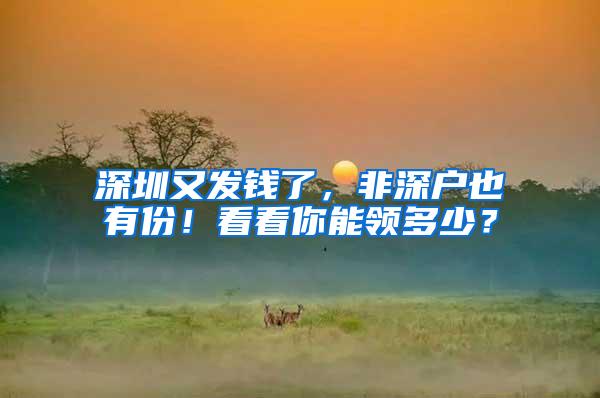 深圳又发钱了，非深户也有份！看看你能领多少？