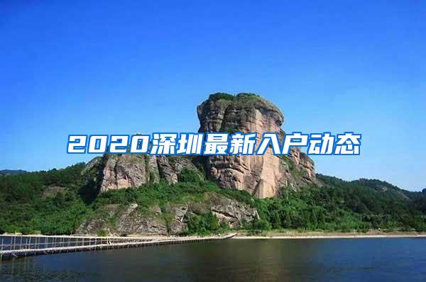 2020深圳最新入户动态