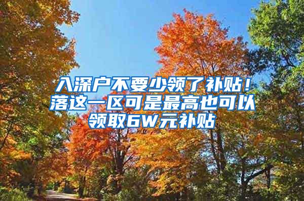 入深户不要少领了补贴！落这一区可是最高也可以领取6W元补贴