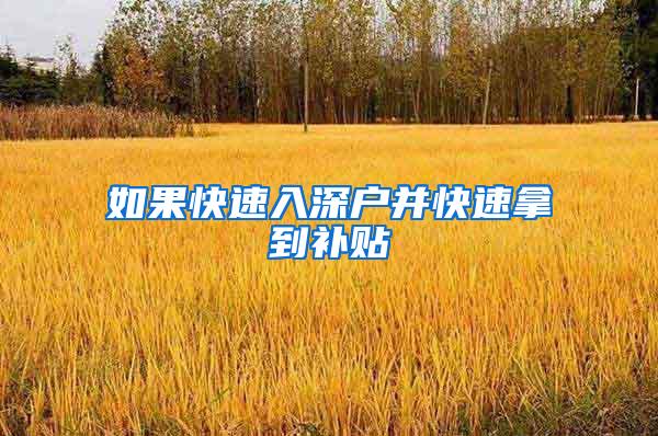 如果快速入深户并快速拿到补贴