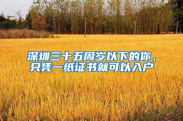 深圳三十五周岁以下的你，只凭一纸证书就可以入户