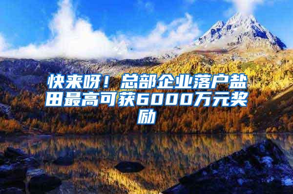 快来呀！总部企业落户盐田最高可获6000万元奖励
