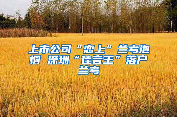 上市公司“恋上”兰考泡桐 深圳“佳音王”落户兰考