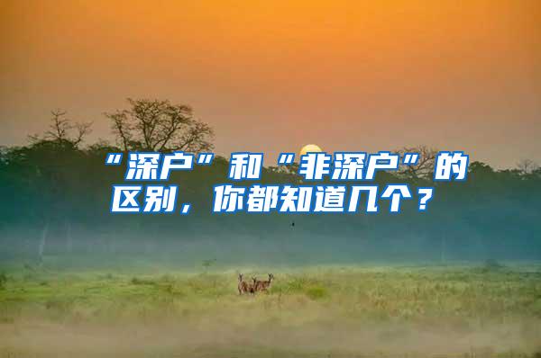 “深户”和“非深户”的区别，你都知道几个？
