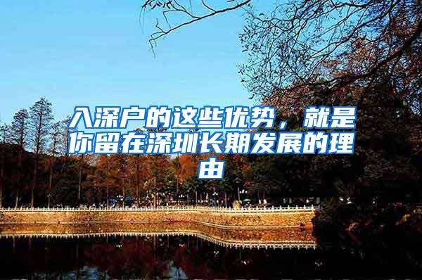 入深户的这些优势，就是你留在深圳长期发展的理由