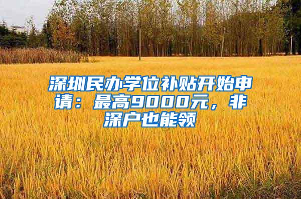深圳民办学位补贴开始申请：最高9000元，非深户也能领