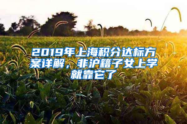2019年上海积分达标方案详解，非沪籍子女上学就靠它了