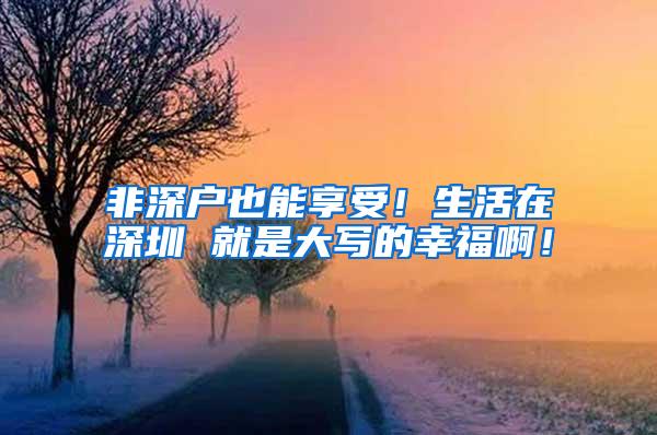 非深户也能享受！生活在深圳 就是大写的幸福啊！