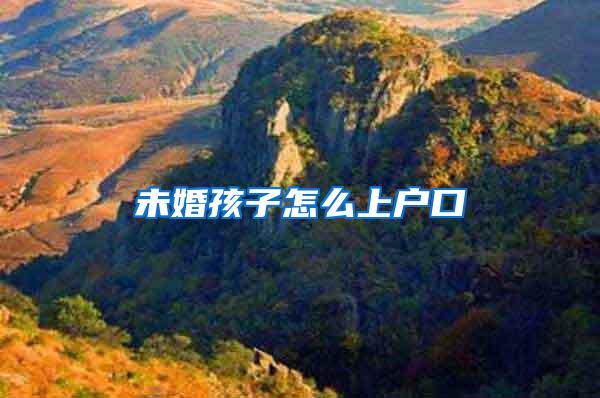未婚孩子怎么上户口