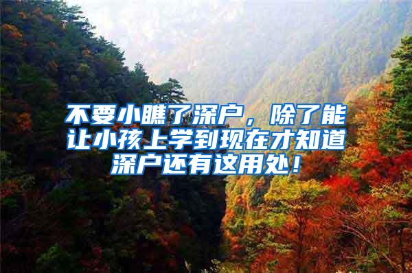 不要小瞧了深户，除了能让小孩上学到现在才知道深户还有这用处！
