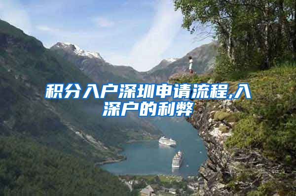 积分入户深圳申请流程,入深户的利弊