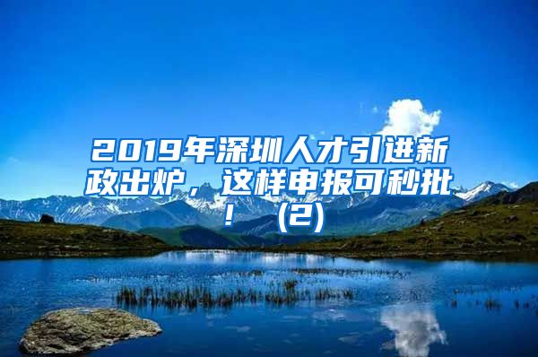 2019年深圳人才引进新政出炉，这样申报可秒批！ (2)