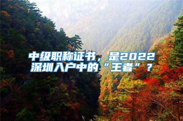 中级职称证书，是2022深圳入户中的“王者”？