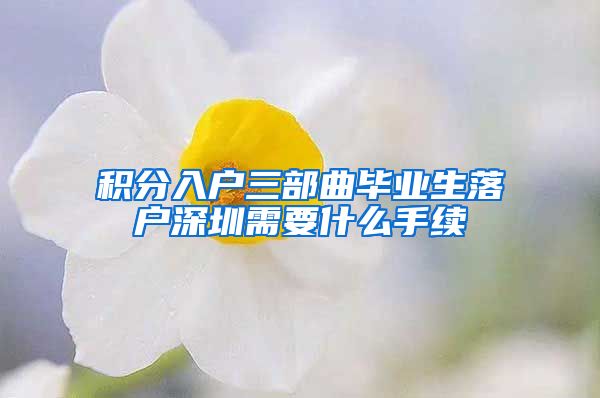 积分入户三部曲毕业生落户深圳需要什么手续