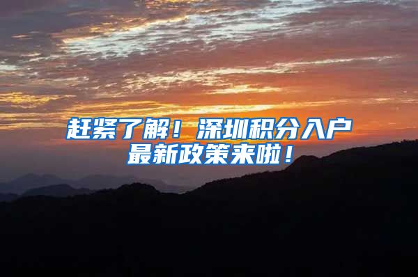 赶紧了解！深圳积分入户最新政策来啦！