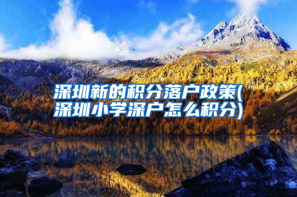 深圳新的积分落户政策(深圳小学深户怎么积分)