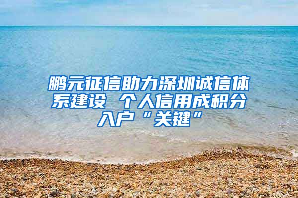 鹏元征信助力深圳诚信体系建设 个人信用成积分入户“关键”
