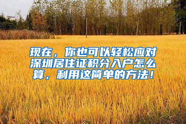 现在，你也可以轻松应对深圳居住证积分入户怎么算，利用这简单的方法！