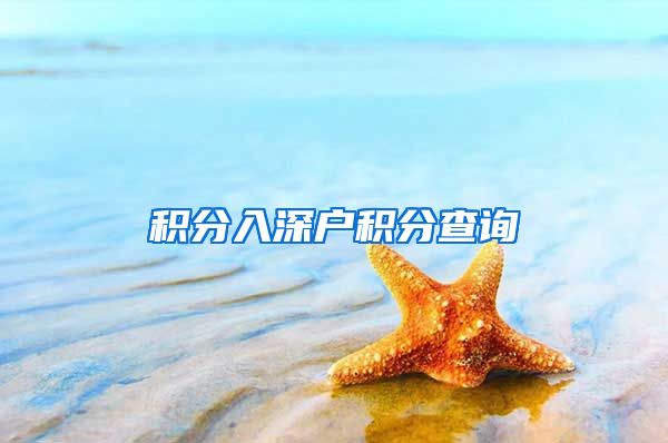积分入深户积分查询