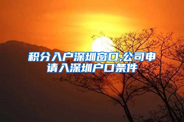 积分入户深圳窗口,公司申请入深圳户口条件