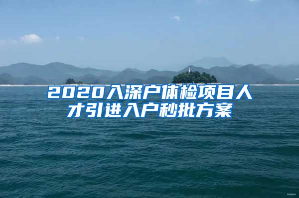 2020入深户体检项目人才引进入户秒批方案