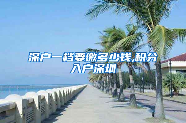 深户一档要缴多少钱,积分入户深圳