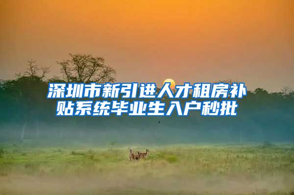 深圳市新引进人才租房补贴系统毕业生入户秒批