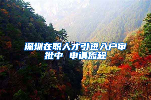 深圳在职人才引进入户审批中 申请流程