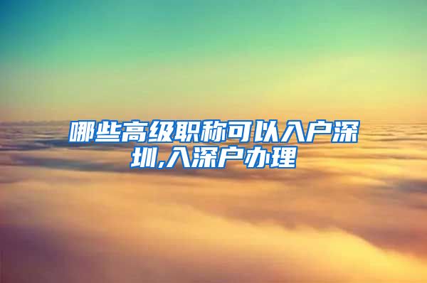 哪些高级职称可以入户深圳,入深户办理