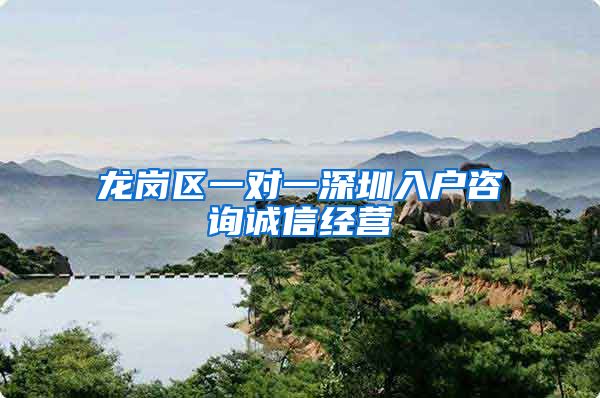 龙岗区一对一深圳入户咨询诚信经营