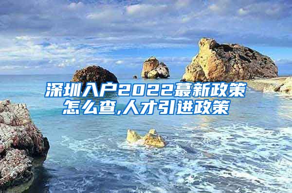 深圳入户2022蕞新政策怎么查,人才引进政策