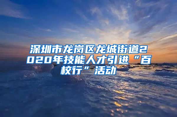 深圳市龙岗区龙城街道2020年技能人才引进“百校行”活动