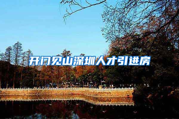 开门见山深圳人才引进房