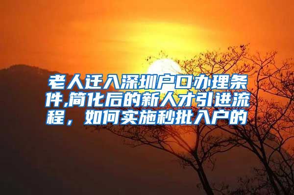 老人迁入深圳户口办理条件,简化后的新人才引进流程，如何实施秒批入户的