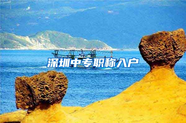 深圳中专职称入户