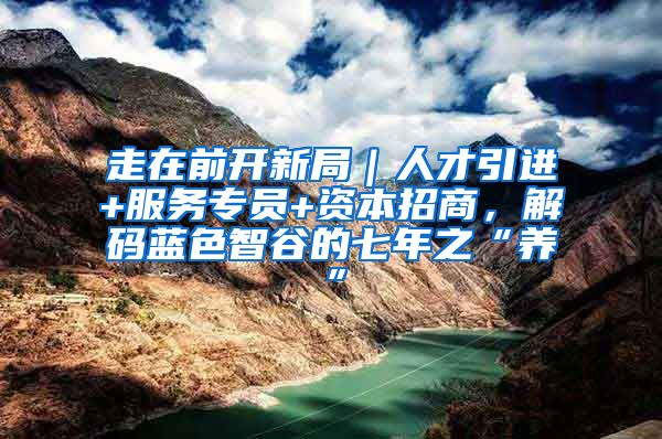 走在前开新局｜人才引进+服务专员+资本招商，解码蓝色智谷的七年之“养”