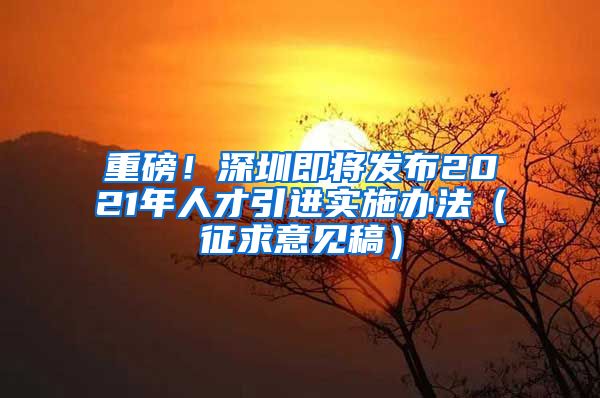 重磅！深圳即将发布2021年人才引进实施办法（征求意见稿）