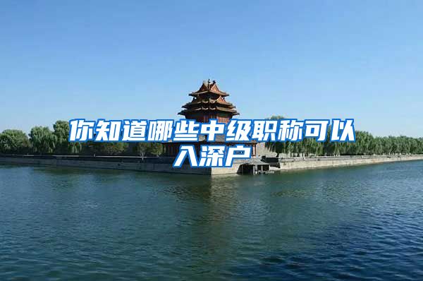 你知道哪些中级职称可以入深户