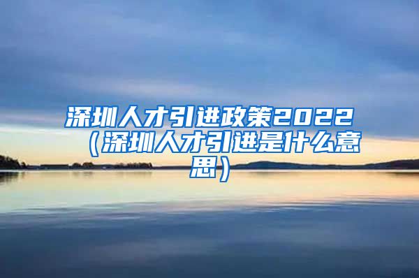 深圳人才引进政策2022（深圳人才引进是什么意思）