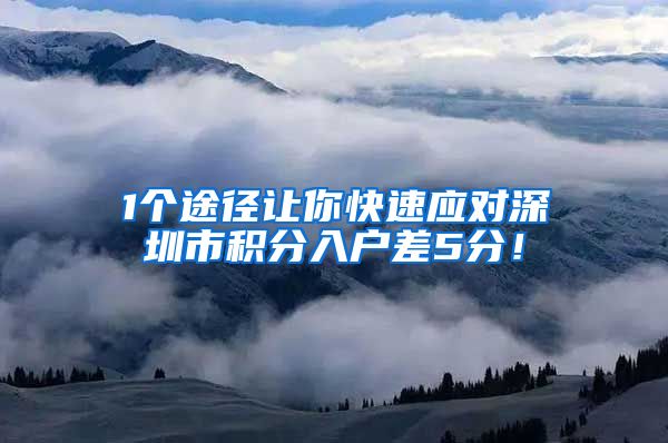 1个途径让你快速应对深圳市积分入户差5分！